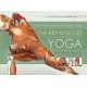 The Key Muscles of Yoga (Paperback)by Ray Long 